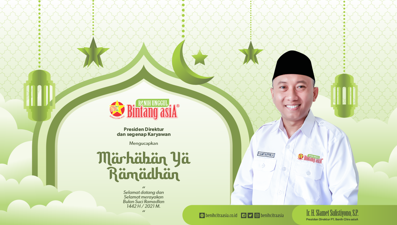 slider-banner