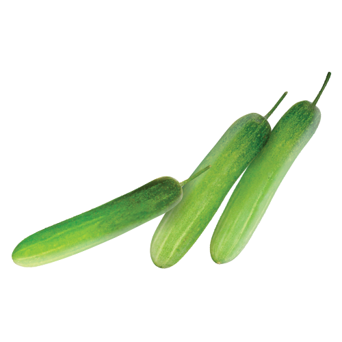 img-products
